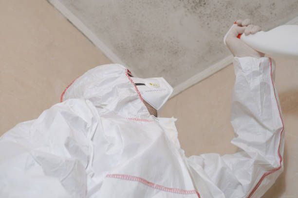 Best Professional Mold Removal  in Croom, MD